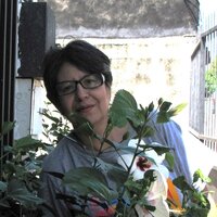 Image / illustration