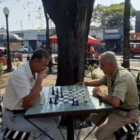 Image / illustration