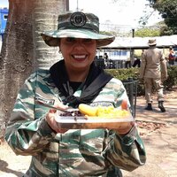 Image / illustration