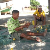 Image / illustration