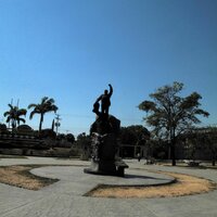 Image / illustration