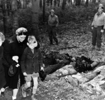 Image / illustration