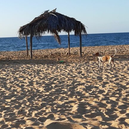 Image / illustration