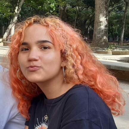 Image / illustration